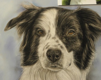 Custom Pet Portrait from photo Pet portraits  Custom dog Painting Custom dog painting  Portrait with soft pastel  Personalized pet gift