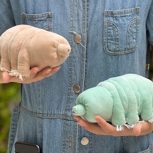 Cuddly Tardigrade Etsy Canada