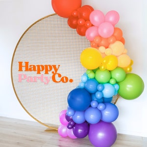 Balloon Arch Balloon Garland Kit  Rainbow Birthday party first birthday DIY Balloon Garland Kit