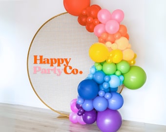 Balloon Arch Balloon Garland Kit  Rainbow Birthday party first birthday DIY Balloon Garland Kit