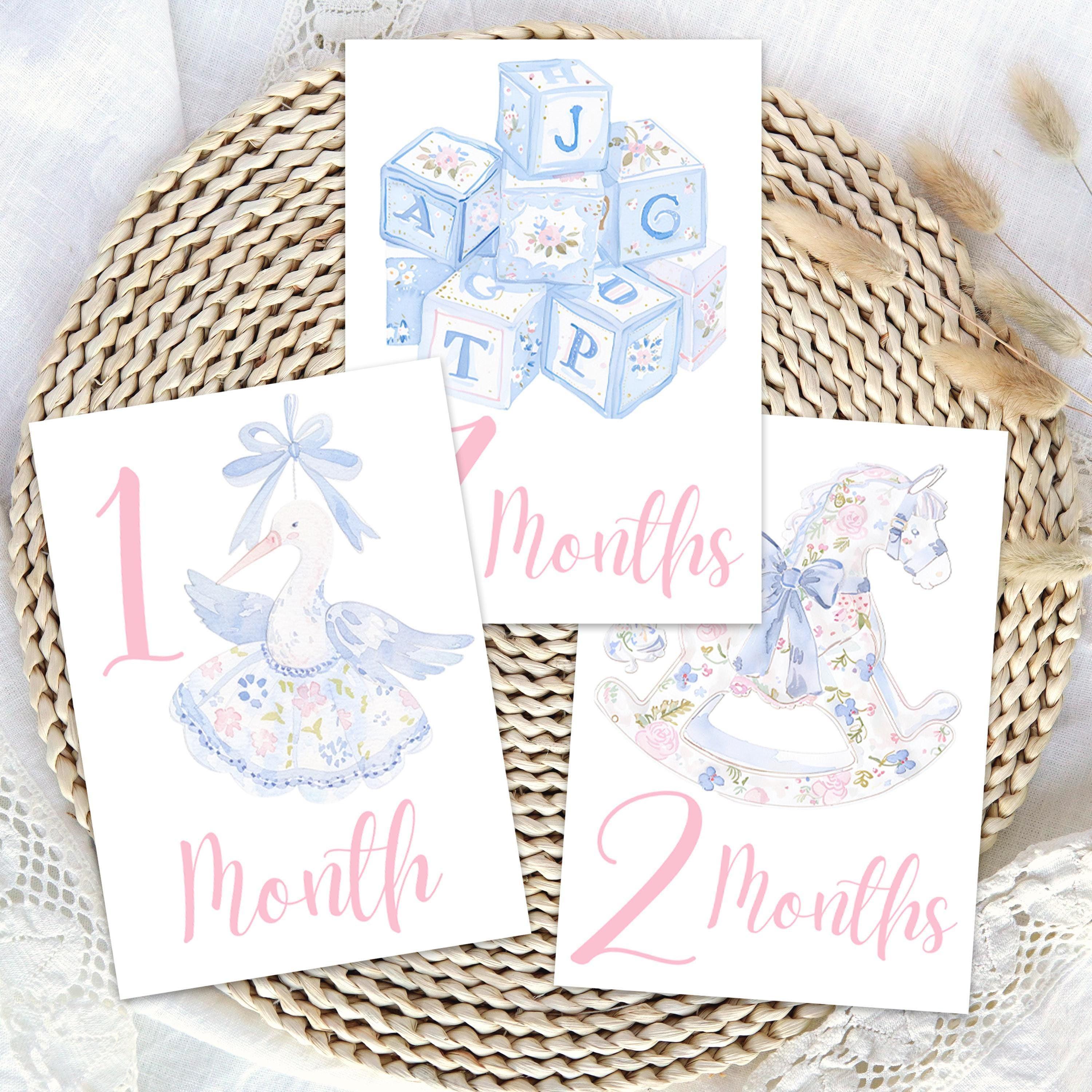 Baby Milestone Card Monthly Keepsake Set Girl Milestone Cards Memory ...