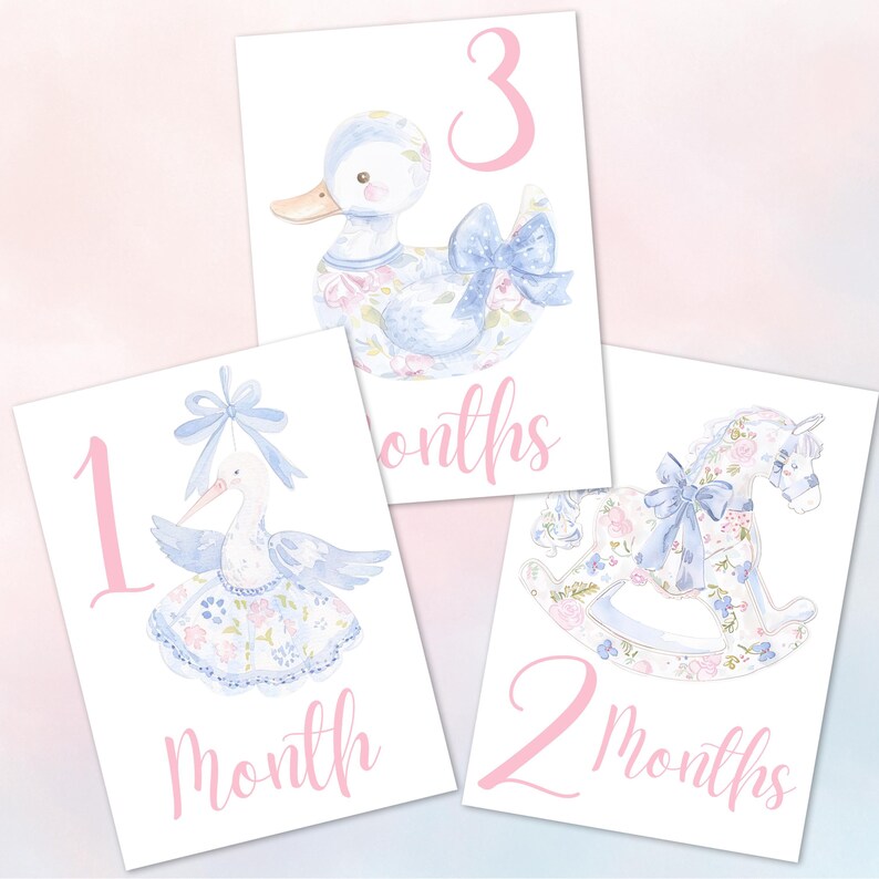Baby Milestone Card Monthly Keepsake Set Girl Milestone Cards Memory ...