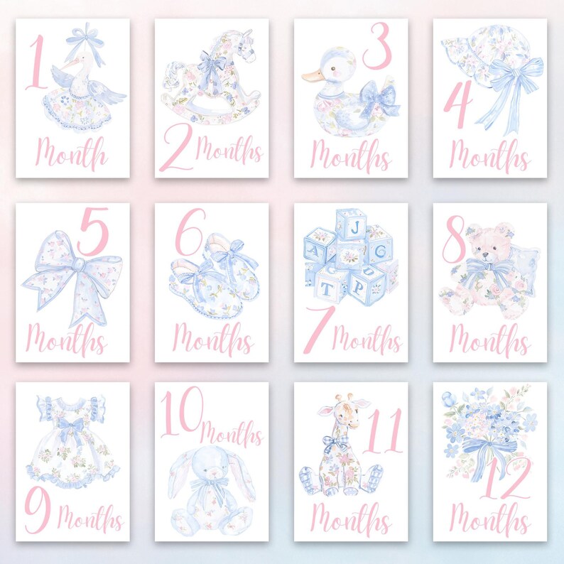 Baby Milestone Card Monthly Keepsake Set Girl Milestone Cards Memory ...