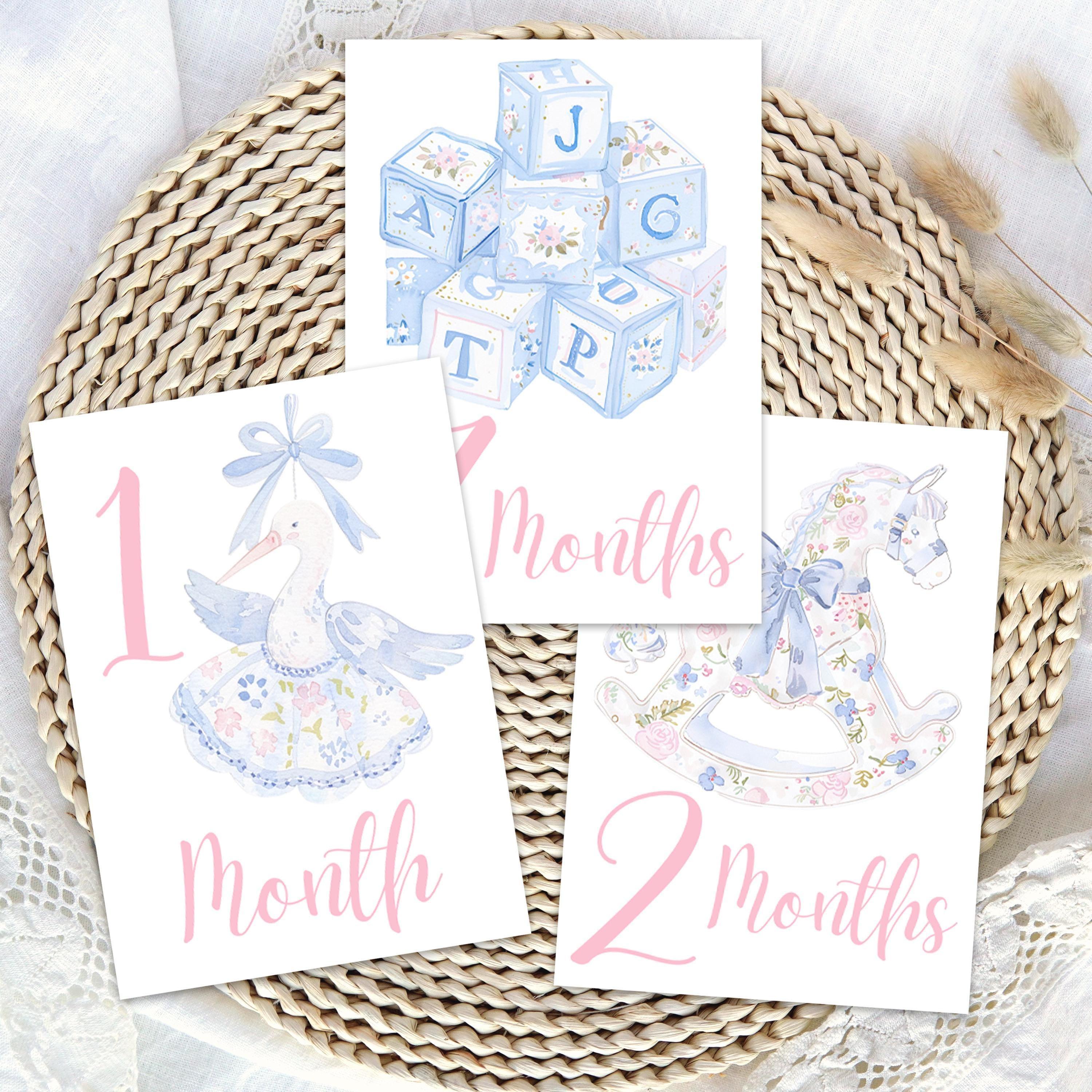 Baby Milestone Card Monthly Memory Keepsake Set Watercolor Girl Design ...
