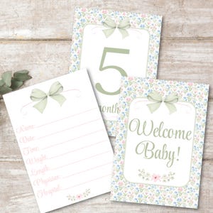 Baby Girl Milestone Cards | Grandmillennial Monthly Photo Props | Baby Shower Gift | Baby Milestone Cards Memories | Children&#39;s Photo 1097