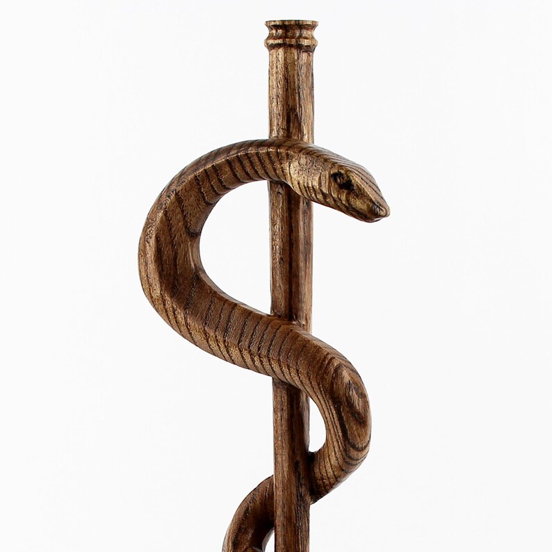 A unique take on the classic medical symbol, this handmade wood carving of the Rod of Asclepius is an artistic way to honor the medical community. 

Whether you’re a doctor, nurse, or medical student, this symbol of healing and medicine is a timeless representation of the dedication to saving lives and promoting health.