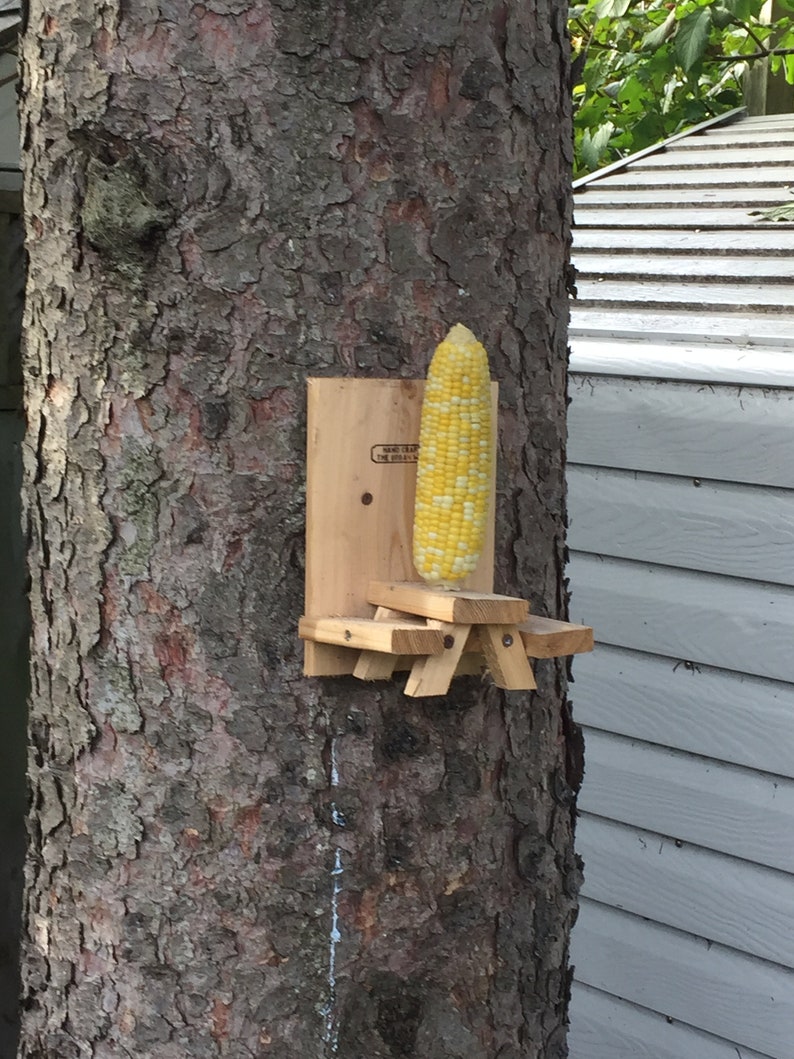 Rustic Cedar Squirrel Feeder Etsy