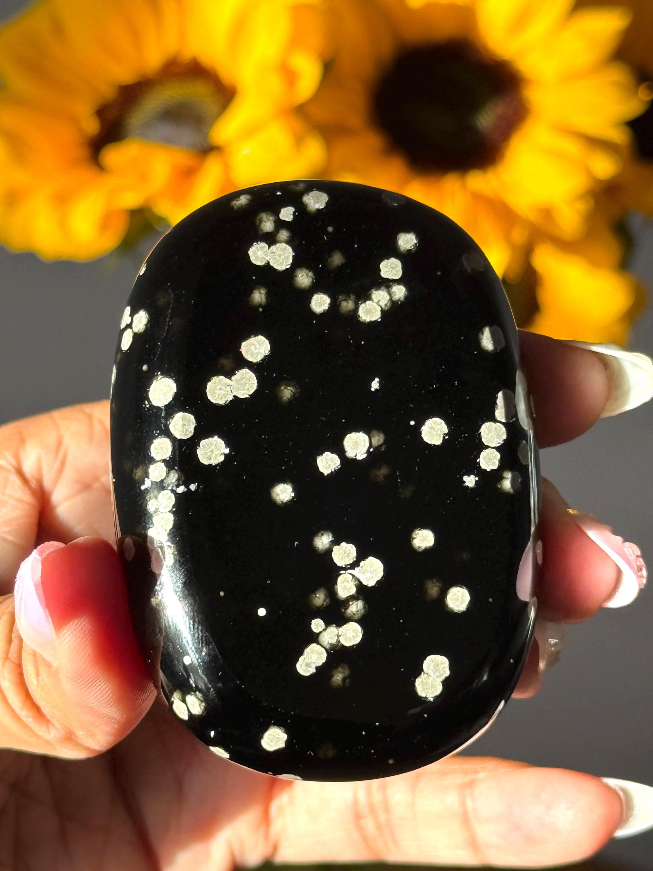 Stardust Obsidian Palm Stone, Obsidian, Rare Jalisco Mexico