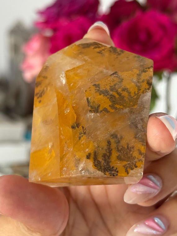 デンドリティッククォーツ、デンドライト入りゴールデンヒーラー デンドリティッククォーツ、デンドライト入りゴールデンヒーラー