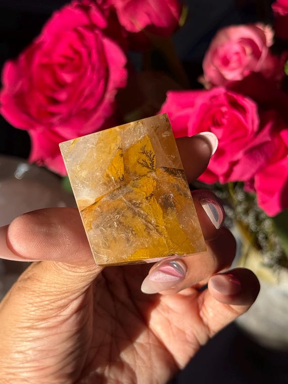 デンドリティッククォーツクリスタル：樹枝状結晶のゴールデンヒーラー