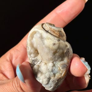 Spiralite Shell: Agatized Druzy Quartz Fossil Seashell