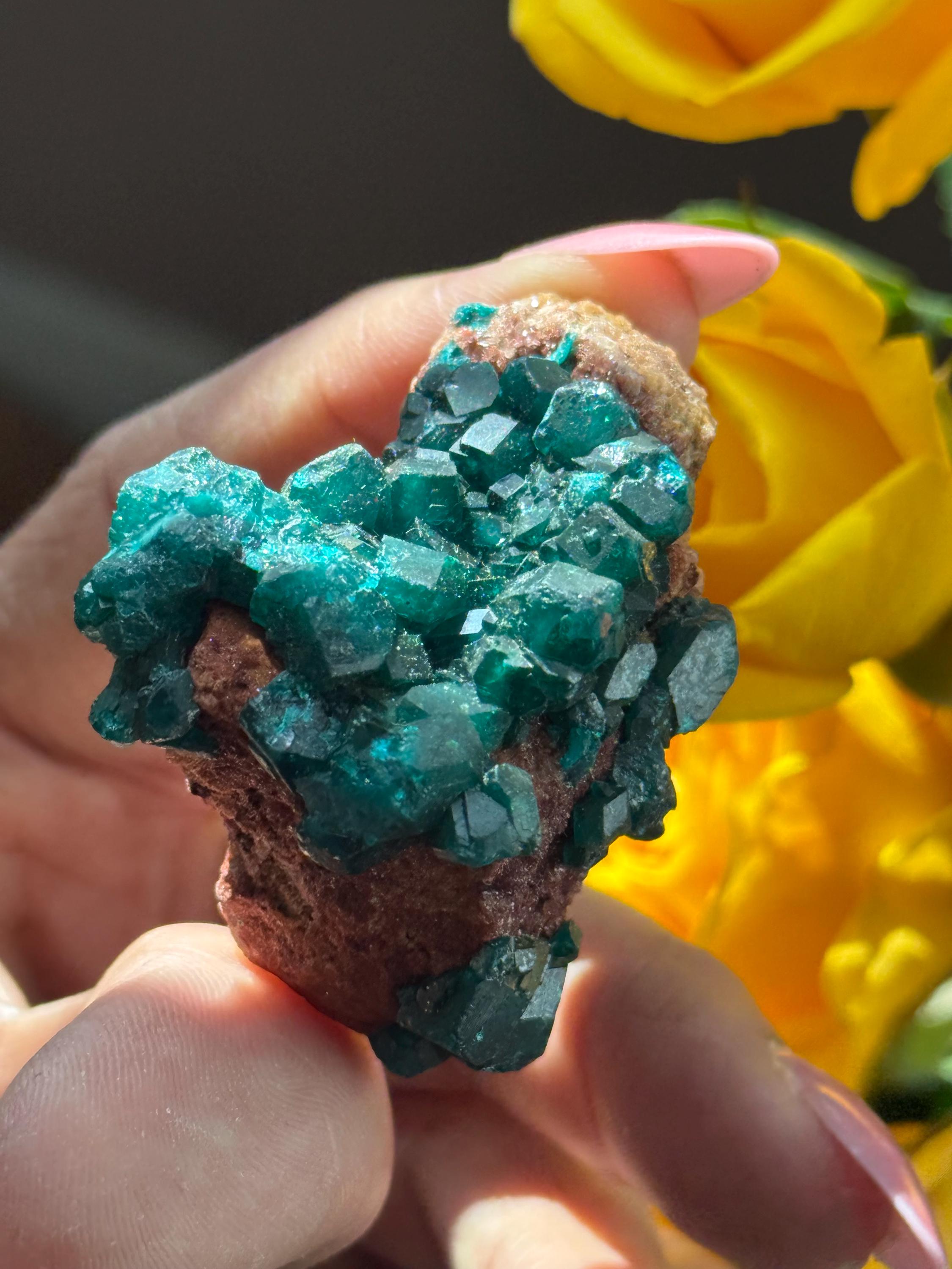 原石のダイオプテーズ鉱物標本：コンゴ共和国、エメラルドグリーン