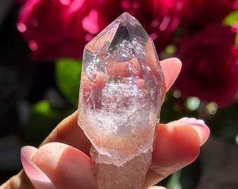Enhydro Vera Cruz Amethyst Crystal, Vera Cruz Amethyst, Water Bubble Quartz