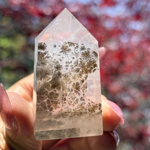 Small Dendritic Quartz, Dendritic Quartz, Girasol Quartz With Dendrites, Dendritic Agate, Healing Crystals, Crystals, Crystals Gift,