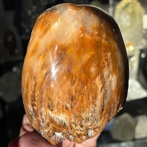 Rabbit Hair Quartz, Orange Rutilated Quartz, Amphibole Quartz, Orange Rutilated Quartz, Amphiboles, Rough Polished Amphibole, Crystal Gifts