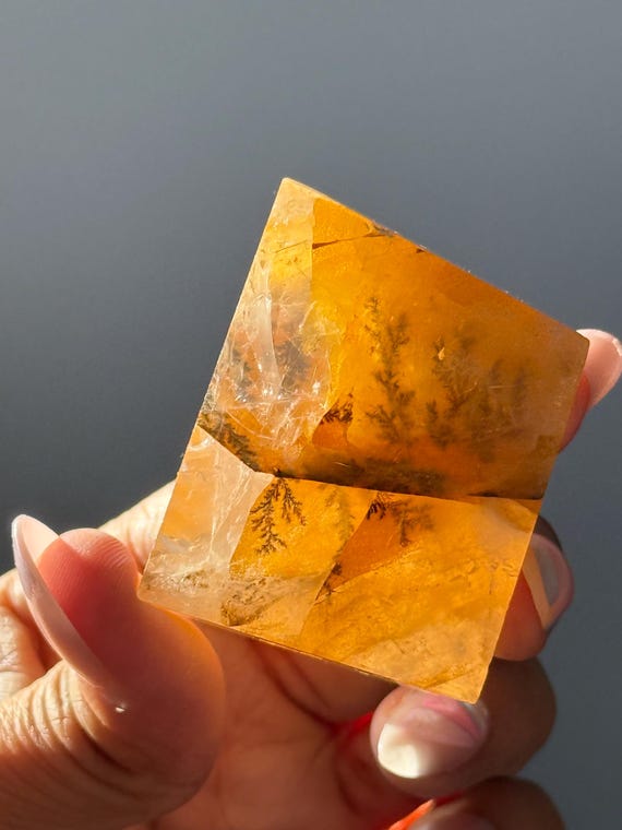 デンドリティッククォーツクリスタル：樹枝状結晶のゴールデンヒーラー