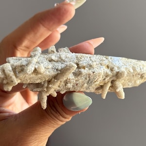 May include: A light beige, textured mineral specimen with crystalline formations. The natural stone has a rough, uneven surface and a light color palette, showcasing its unique geological characteristics. The specimen is held in a hand.