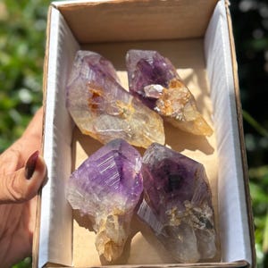Raw Congo Amethyst Roots: Deep Purple Crystal Lot