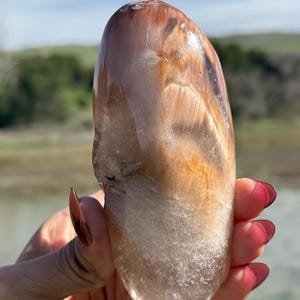 Rabbit Hair Quartz, Orange Rutilated Quartz, Amphibole Quartz, Orange Rutilated Quartz, Amphiboles, Rough Polished Amphibole, Crystal Gifts