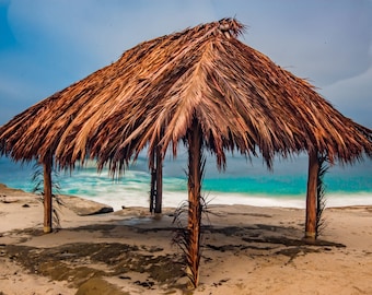Windansea Beach Etsy