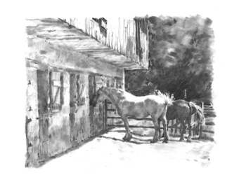 Horses at Hopewell Furnace