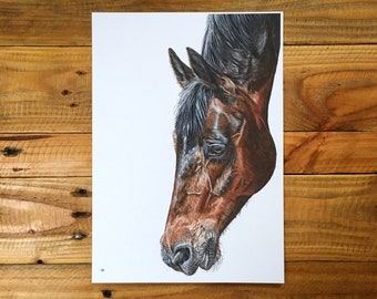 Horse print A3 - unmounted print - horse print - horse painting - horse art - equine painting - equine art - equine print - giclée print