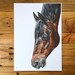 see more listings in the Unmounted Prints section