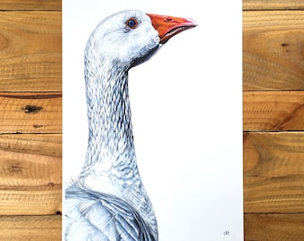 Gänsedruck - Gänsemalerei - Gänsemalerei - Gänsemalerei - Gänsemalerei - Gänse auf dem Bauernhof - Giclée Druck
