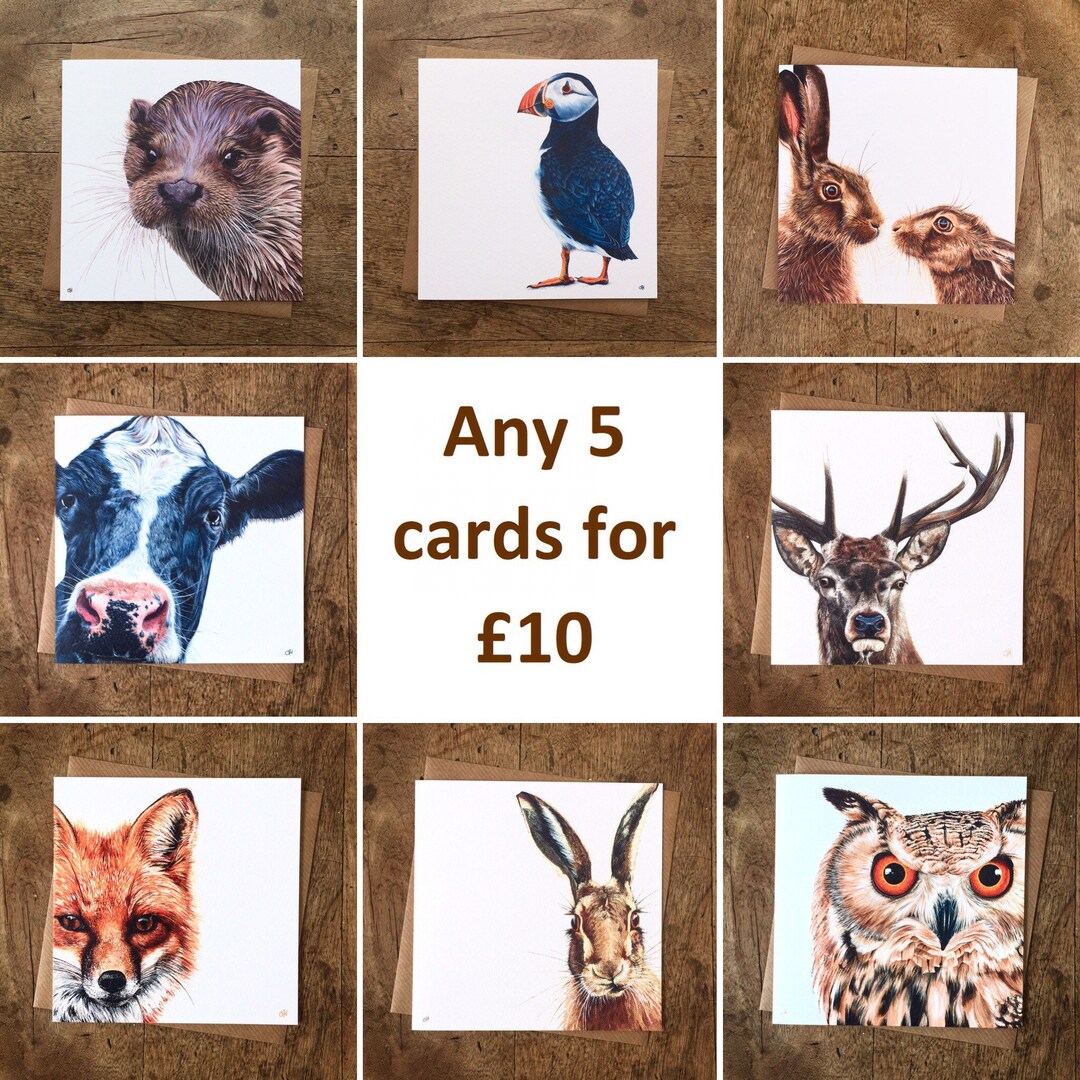 Animal Greetings Cards Mix and Match Multipack Any 5 Cards Animal Cards