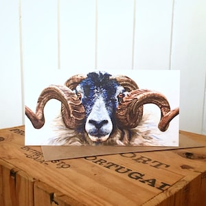 Carte de voeux de bélier Swaledale - carte de voeux de mouton - carte de mouton - oeuvre d'art de mouton - carte vierge - carte d'anniversaire - peinture de bélier