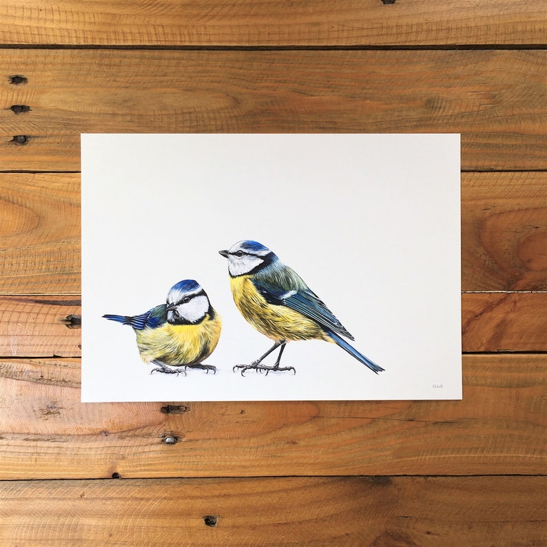 Blue Tits print A3 unmounted print blue tit painting blue tit print garden birds painting garden birds print giclée print image 1