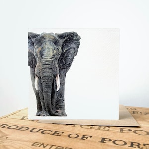 Carte de voeux éléphant - carte éléphant - art éléphant - peinture éléphant - art safari - carte d'anniversaire éléphant - carte vierge
