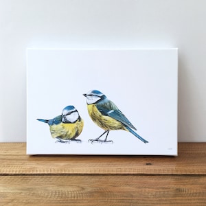 Blue Tits limited edition giclée canvas print blue tit painting blue tit print garden birds painting garden birds print afbeelding 1