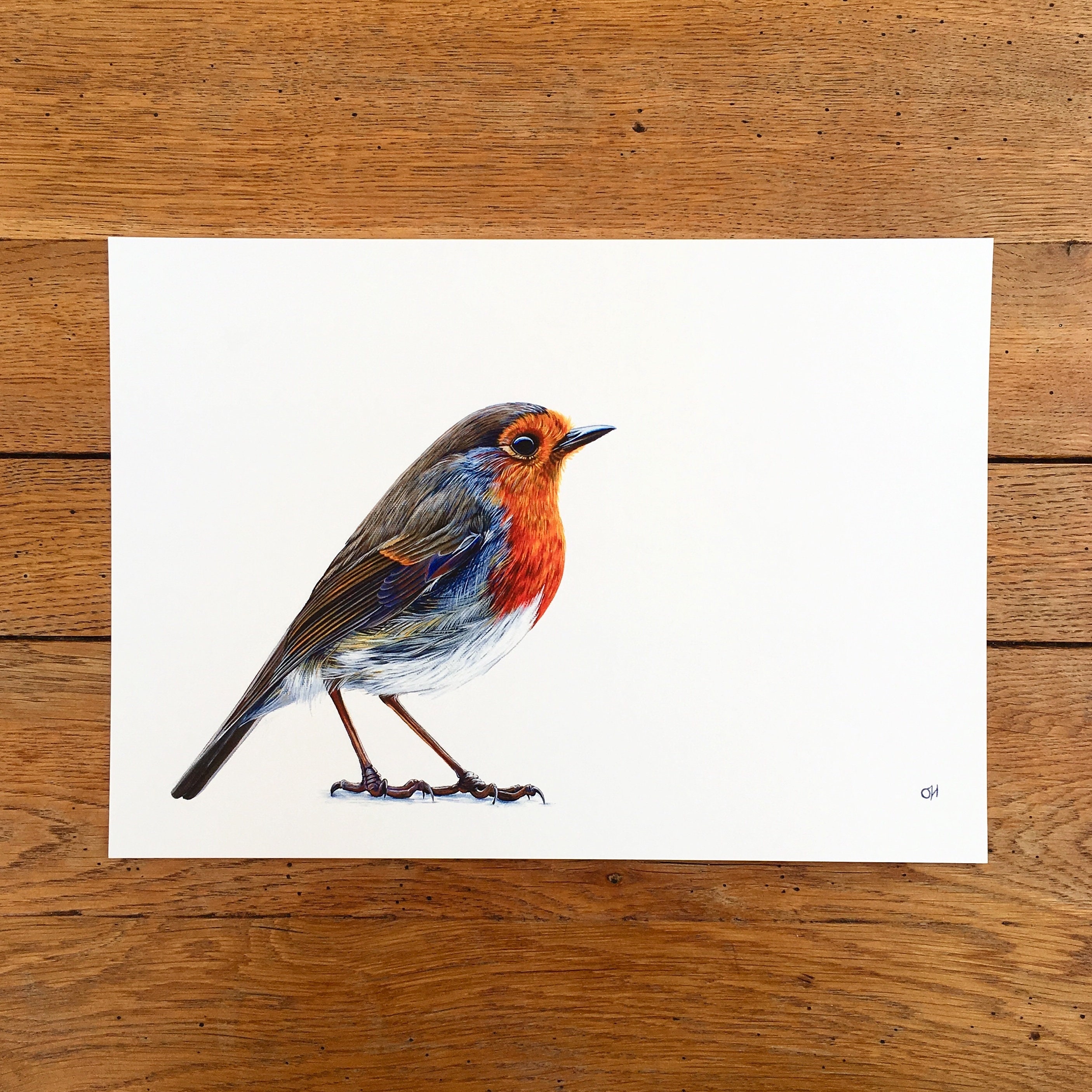 Robin print A3 - unmounted print - robin print - robin painting - robin art - robin design - wildlife art - garden birds - giclée print