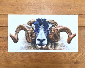Swaledale Ram print - unmounted print - swaledale ram print - swaledale ram painting - sheep art -sheep print -sheep painting - giclée print