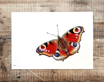 Butterfly print A3 - unmounted print - peacock butterfly - butterfly painting - butterfly art - butterfly design - giclée