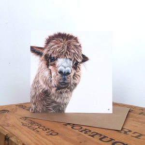 Alpaca Greetings Card - Alpaca Card - Art Card - Animal Card - Alpaca Art - Alpaca Birthday Card Blank Card