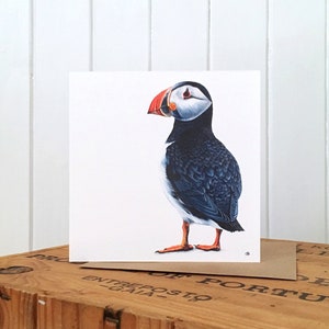 Puffin Greetings Card - Puffin Card - Puffin Art - Puffin Painting - Puffin Portrait  - Wildlife Card - Blank Card - Puffin Birthday Card