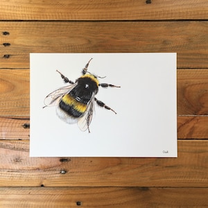 Bumblebee print A2 unmounted print bee print bee painting bee art bee design bumblebee painting giclée bumble bee painting image 1