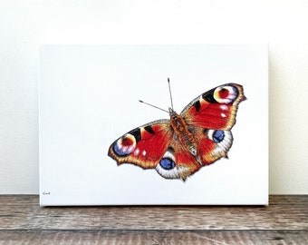 Peacock Butterfly limited edition giclée canvas print; peacock butterfly painting - butterfly print