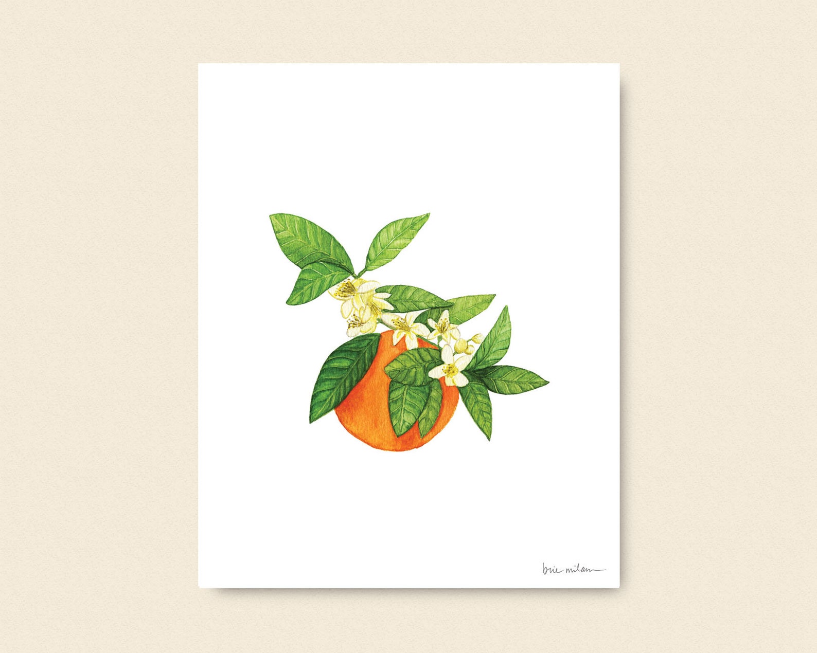 Watercolor Orange Blossom Print | Etsy