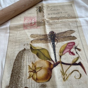 Strofinaccio Floreale - Botanica