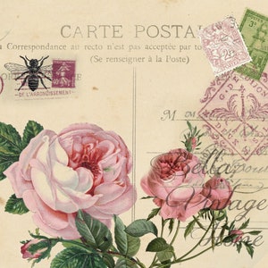Vintage Art Print- Floral Pink Rose Carte Postale