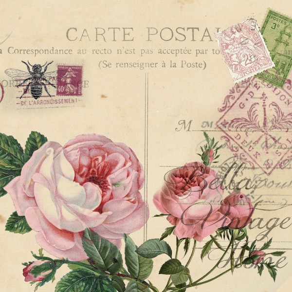 Vintage Art Print- Floral Pink Rose Carte Postale