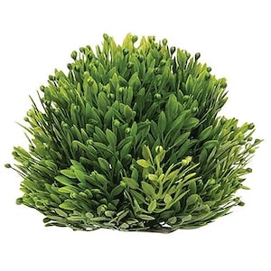 Décoration d'intérieur - Faux fleurs - Demi-sphère en forme de graine