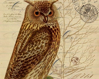 Tea Towel-Fall- Owl