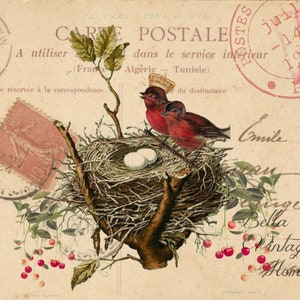 Vintage Art Print-Bird-Red Birds