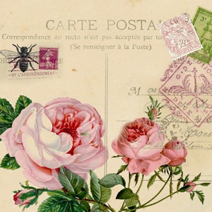 Floral Tea Towel- Pink Roses Carte Postale