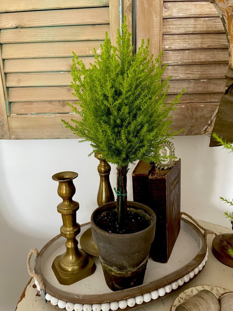 BellaVintageHome Lemon Cypress Topiary