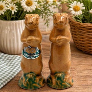 May include: Two ceramic squirrel-shaped salt and pepper shakers. The shakers are brown with green bases and have a glossy finish. Each shaker has a label that reads "Rosemeade No. Dak." The shakers are standing upright.
